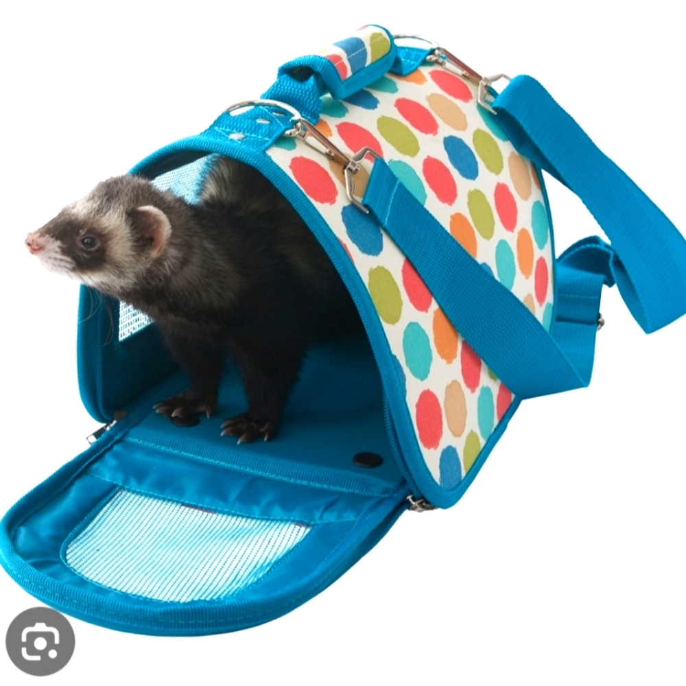 All Living Things Pet Travel Carrier- Large ( New)